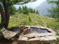 Youri - Ecrins 2005 388